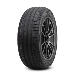 205/55 R16 91V Eagle Sport 2
