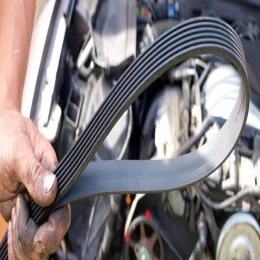 V KAYIŞI DEĞİŞİMİ