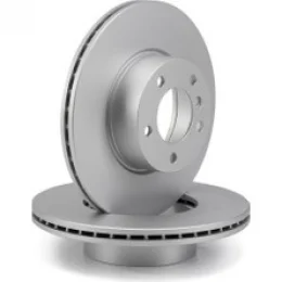 BRAXIS ARKA FREN DISKI HAVALI